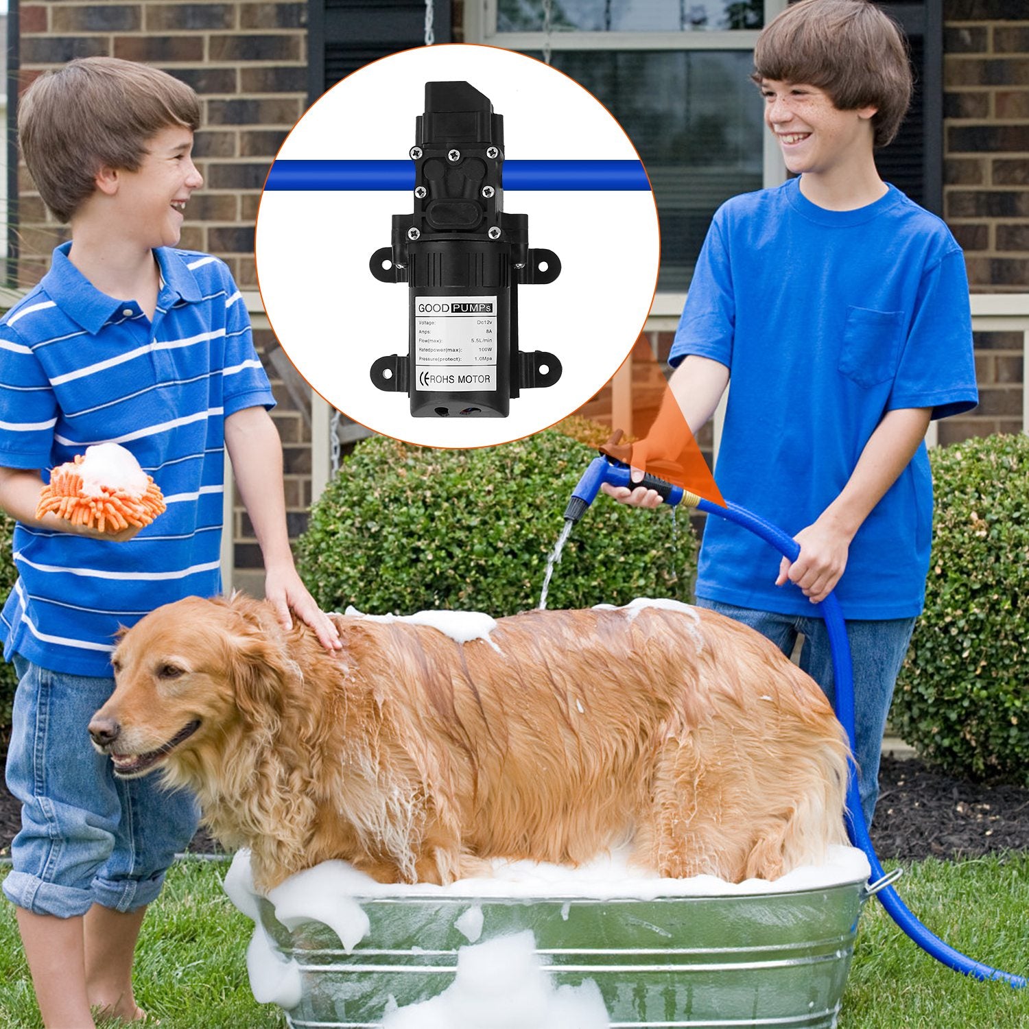 1Pc 12V Watering Device With 2 Hose Clamps 130PSI Self Priming Sprayer 70W Electric Diaphragm Watering 6L Per Min For RV Camper Marine Boat